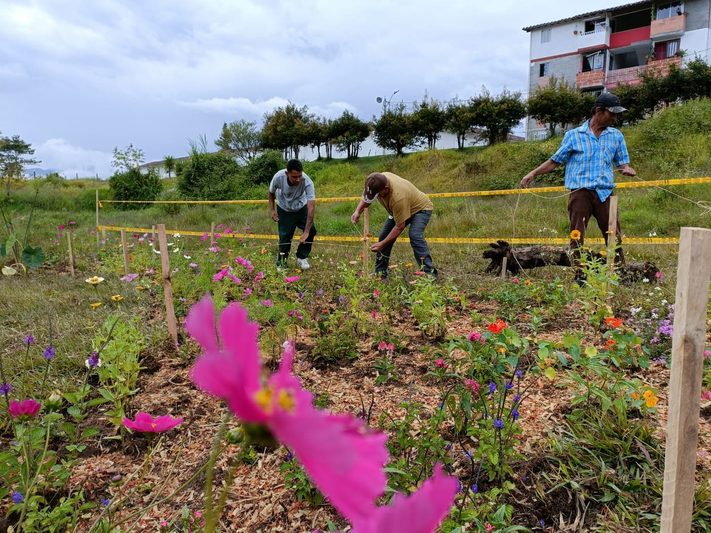 Jardín de polinizadores urbano, ejemplo de SbN en la ciudad